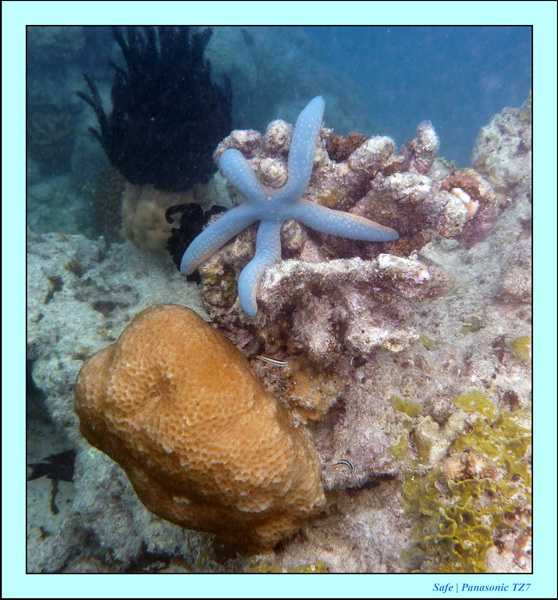 2009   07   Matakin 18